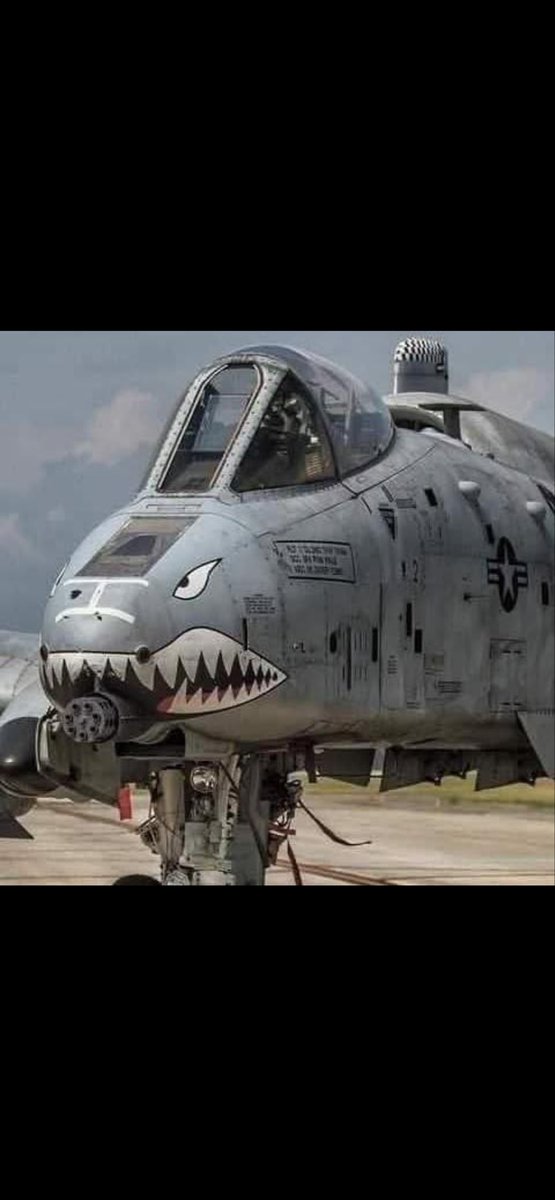 Ryan Toemmes tweet media