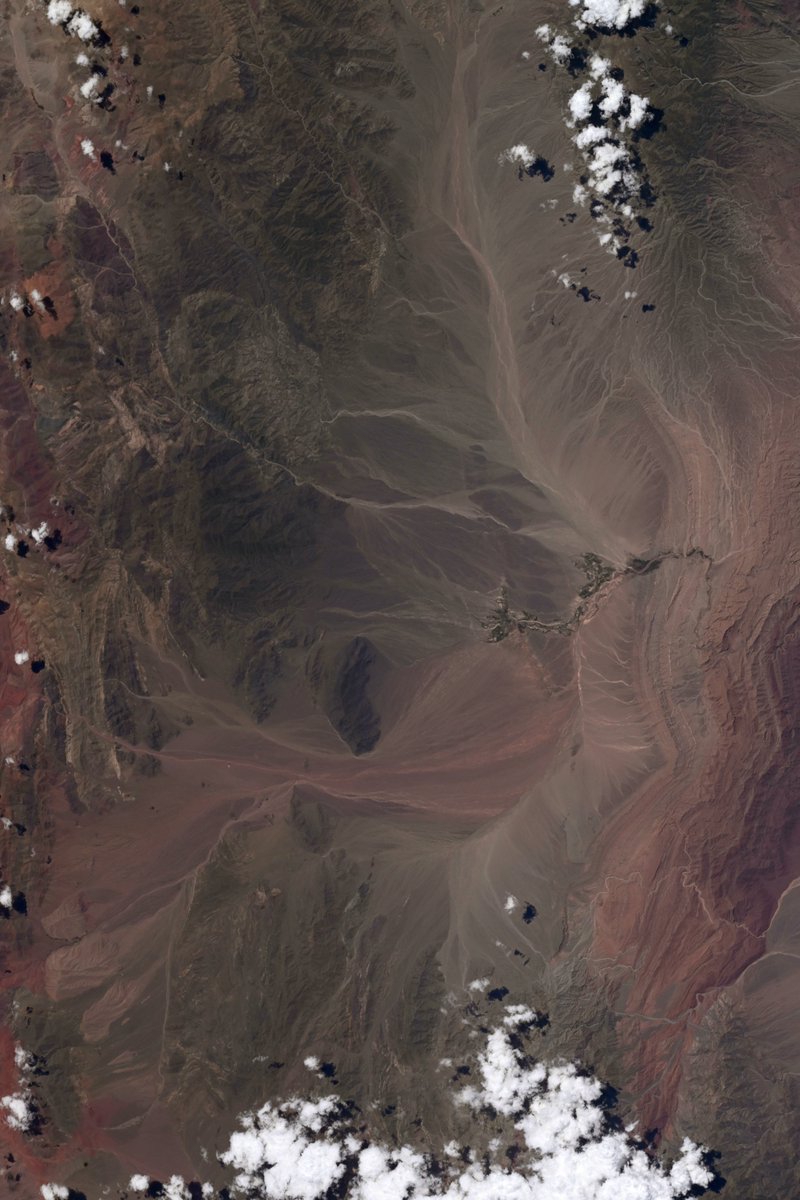 Jessica Meir tweet media