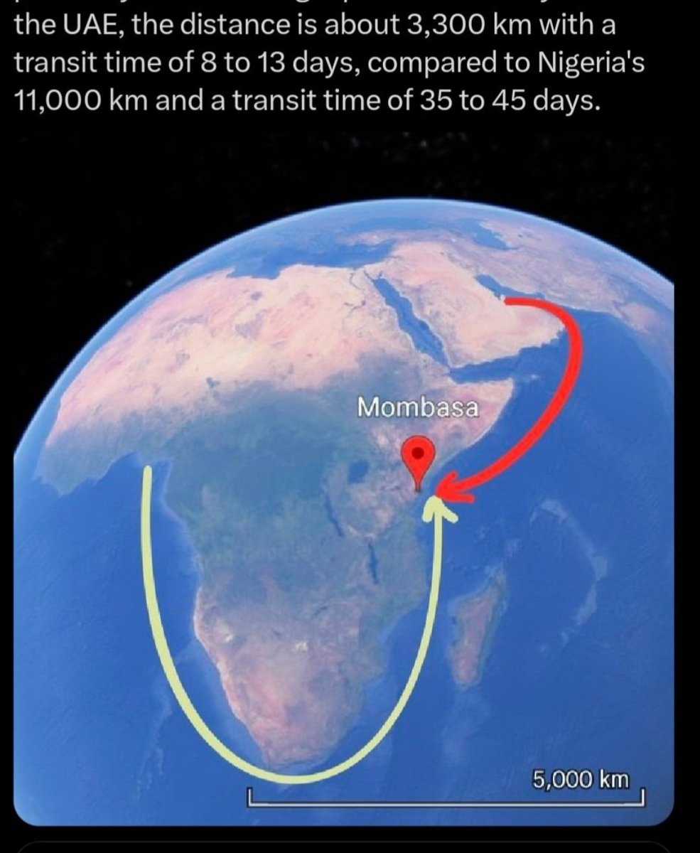 Numero Uno tweet media