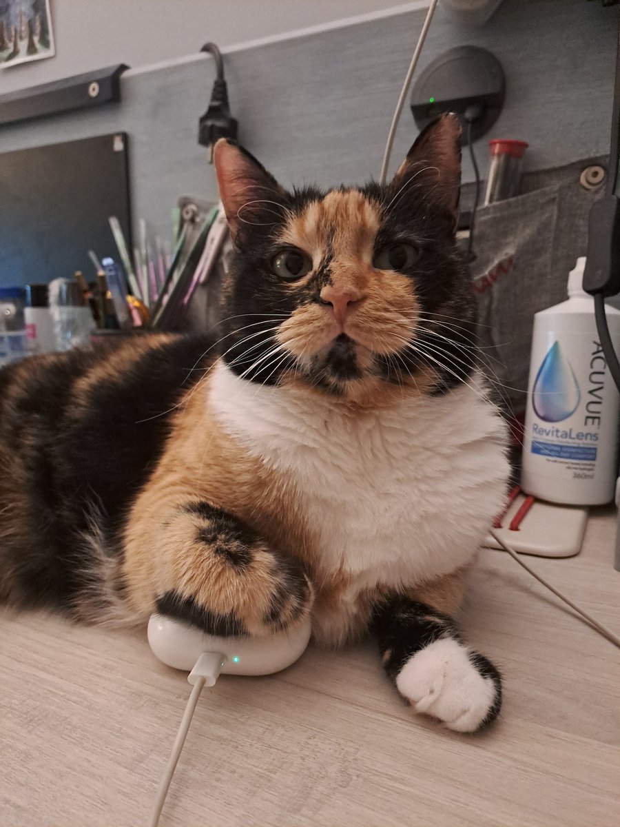 Aldığım commissionin daha parasını cekemeden hepsini Sütlü'ye harcadım feda olsun yavruma ya işte ANALIK