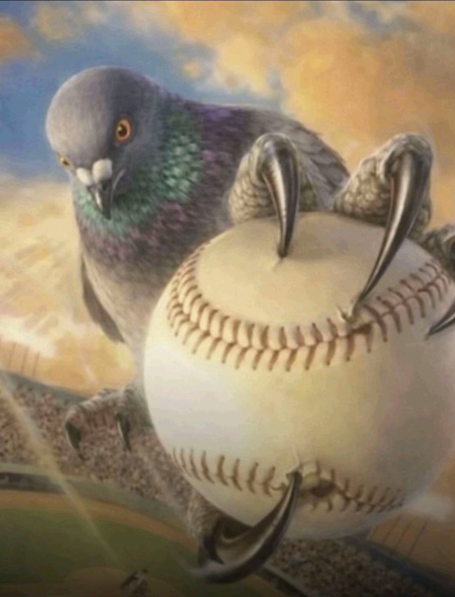 I actually don't know tweet media