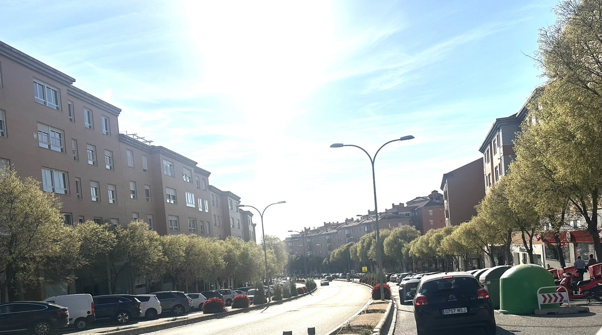 Almeces de Toledo 🌳 tweet media