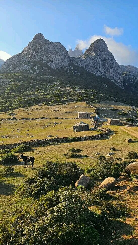 𝗔𝗻𝘄𝗿𝗔𝗹𝗶 𝗔𝗹-𝗢𝗺𝗿𝗶 tweet media