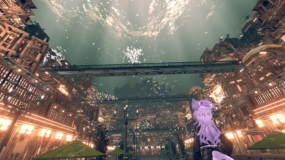 ZIN_farmer tweet media