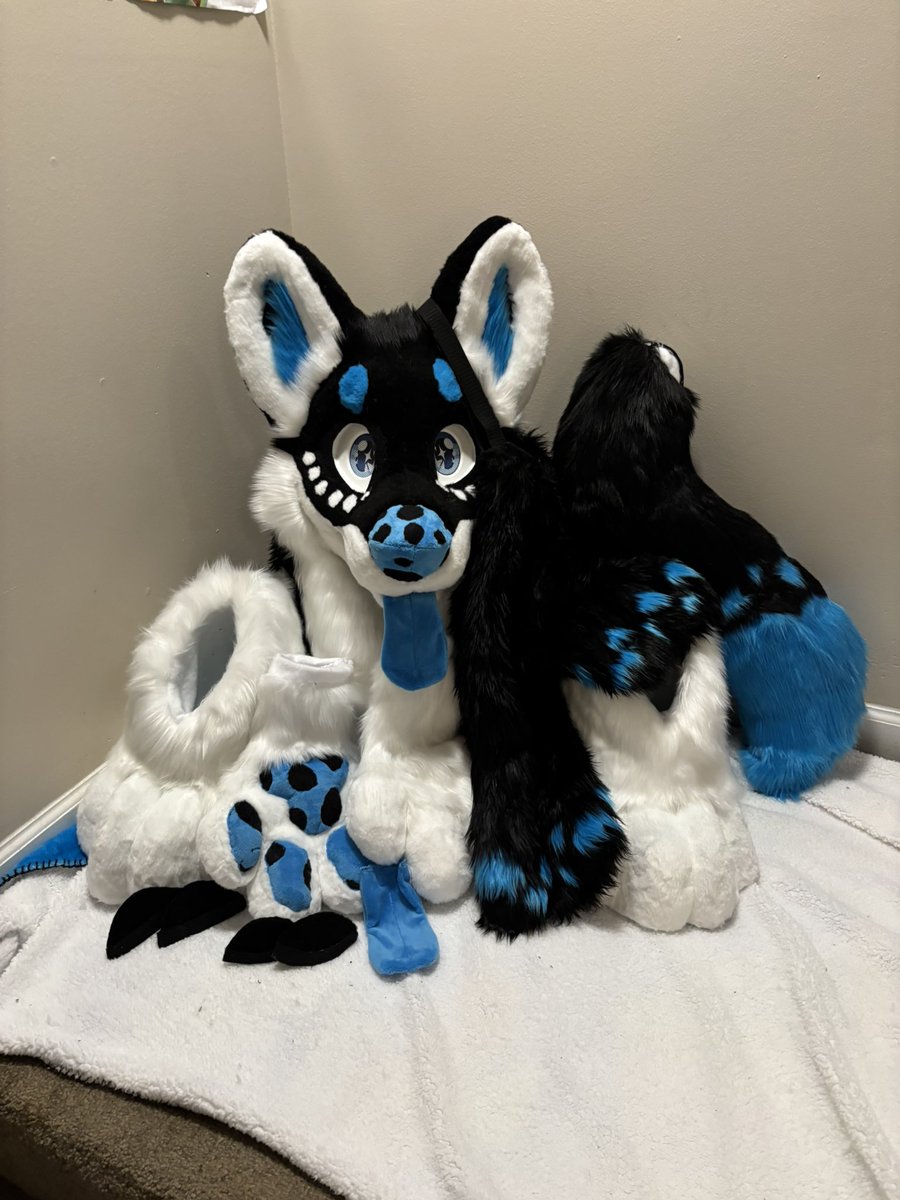 avatarraptor🔜Anthrocon tweet media