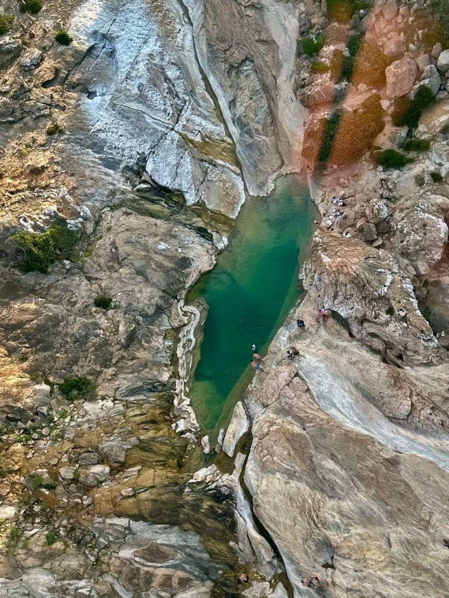 𝗔𝗻𝘄𝗿𝗔𝗹𝗶 𝗔𝗹-𝗢𝗺𝗿𝗶 tweet media