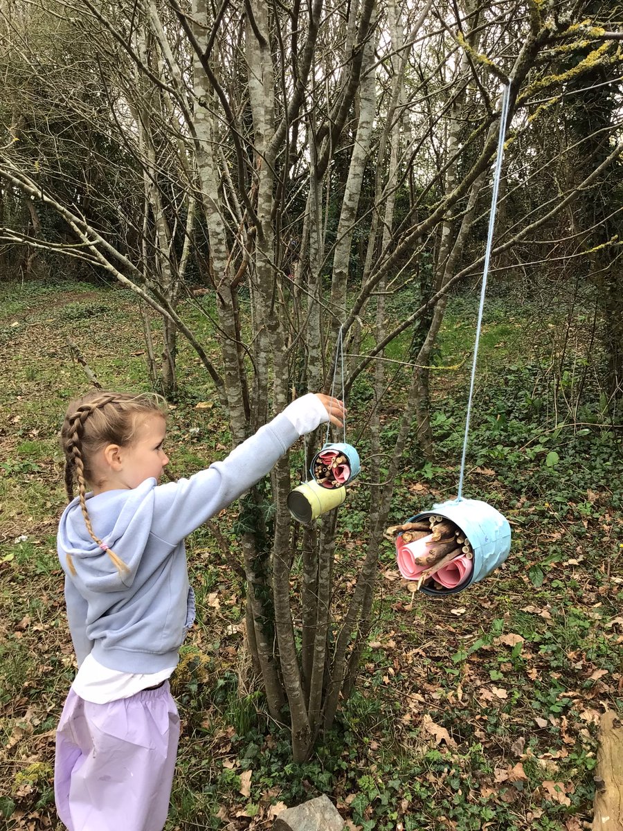 Long Whatton C of E Primary School tweet media