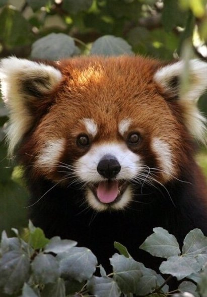 세하쿤 tweet media