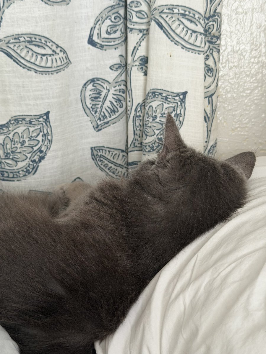 bread🍮 tweet media