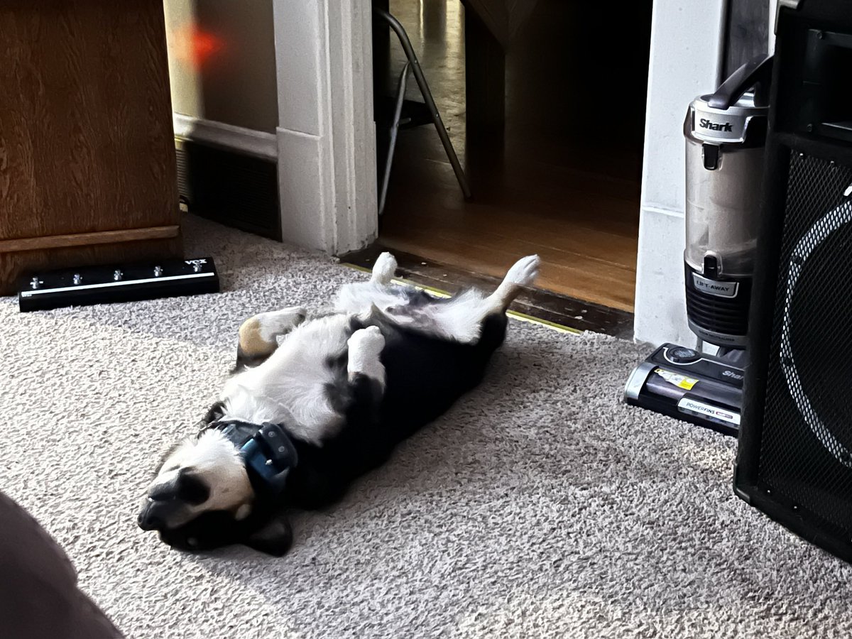 Jen Mendyka tweet media