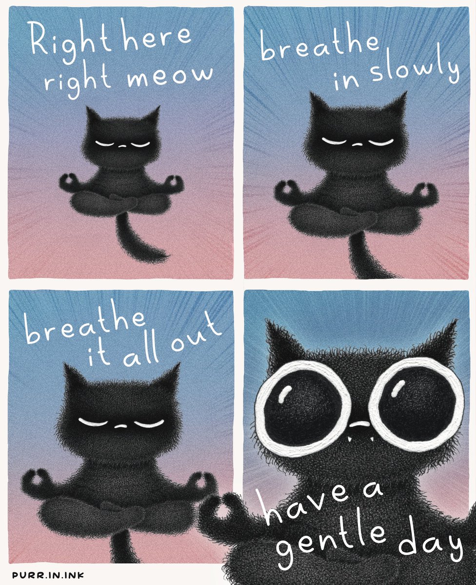 Catmaste, dear human 🐾🤍