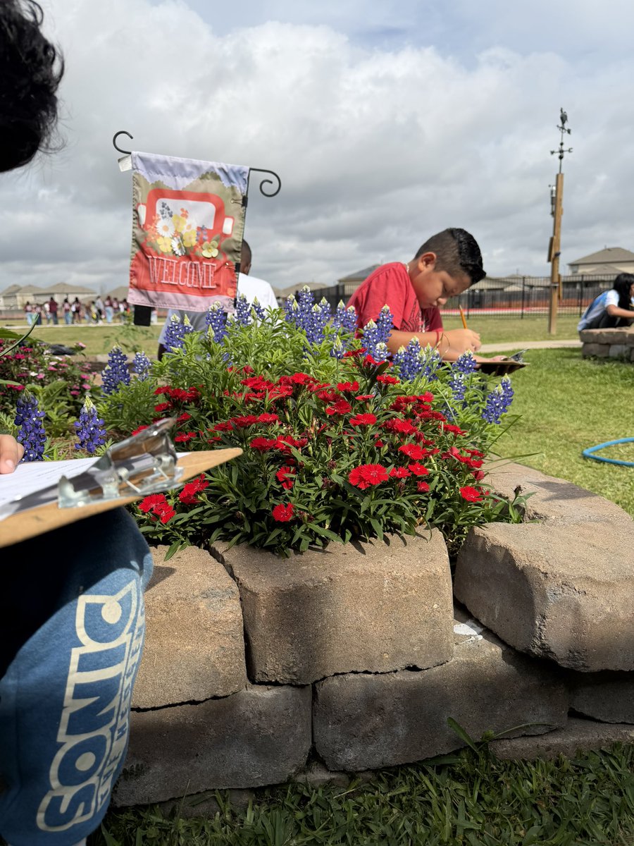 Celise Hamann tweet media