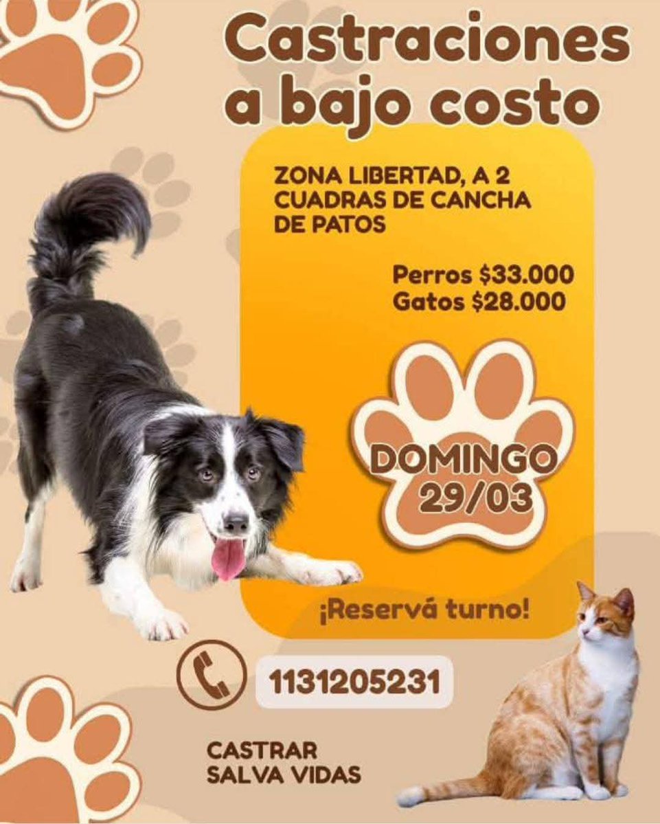 Perros de Merlo tweet media