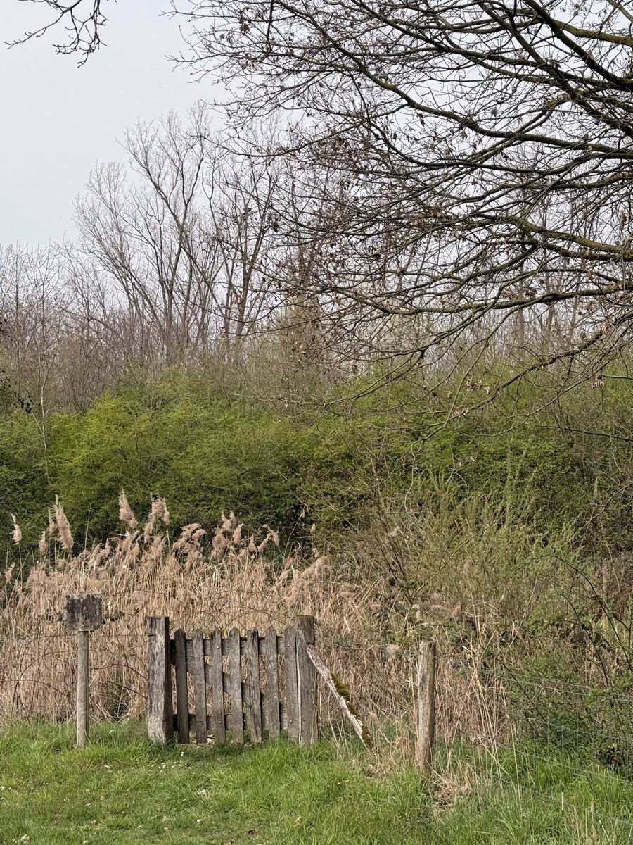 Fr@ncI 🙋🏼‍♀️ tweet media