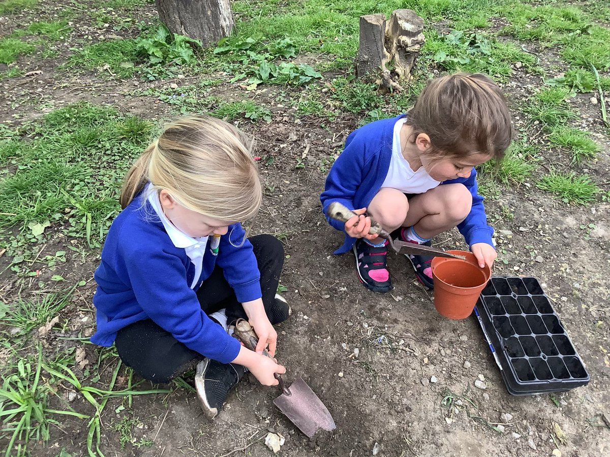 Hedgehogs-SAFontmell-Rec tweet media