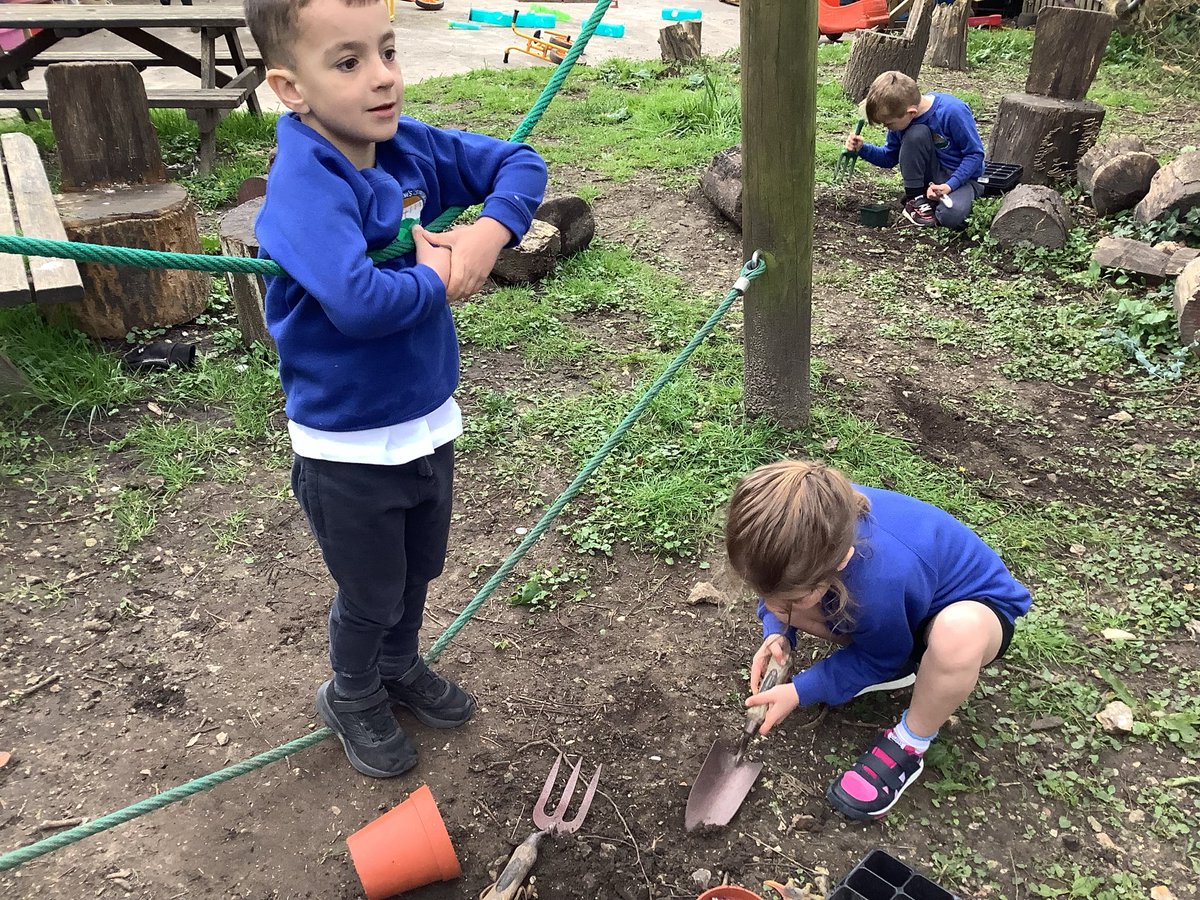 Hedgehogs-SAFontmell-Rec tweet media