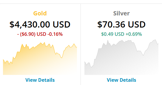 Cyber | Commissions Open tweet media