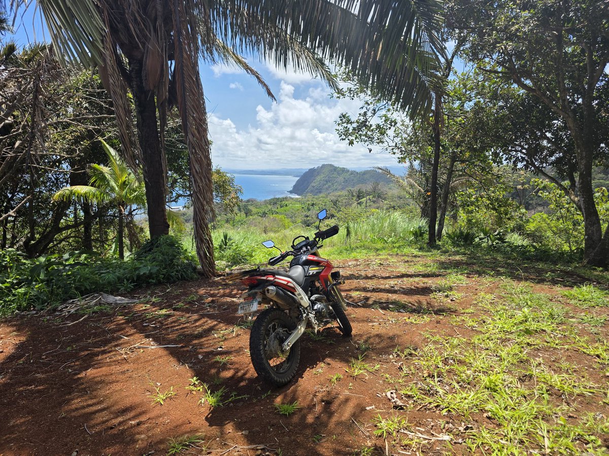 John⛵️🥥 tweet media