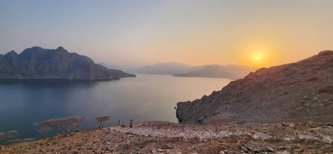 don | دُن tweet media