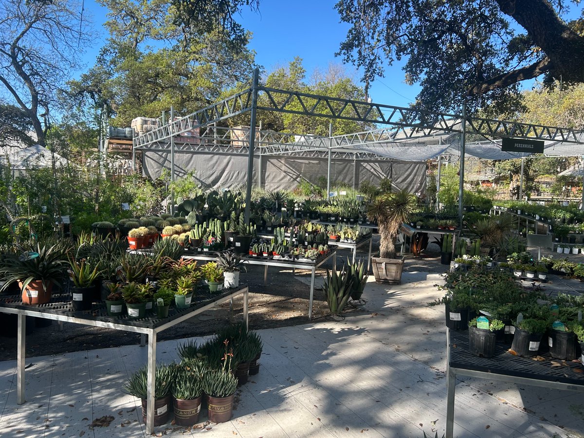 Master Nursery® Garden Centers tweet media