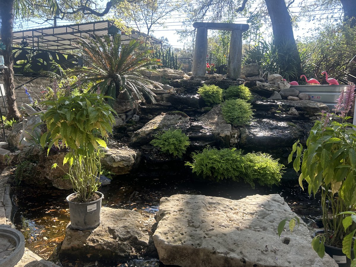 Master Nursery® Garden Centers tweet media