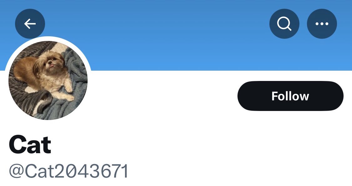 QuestionEverything tweet media