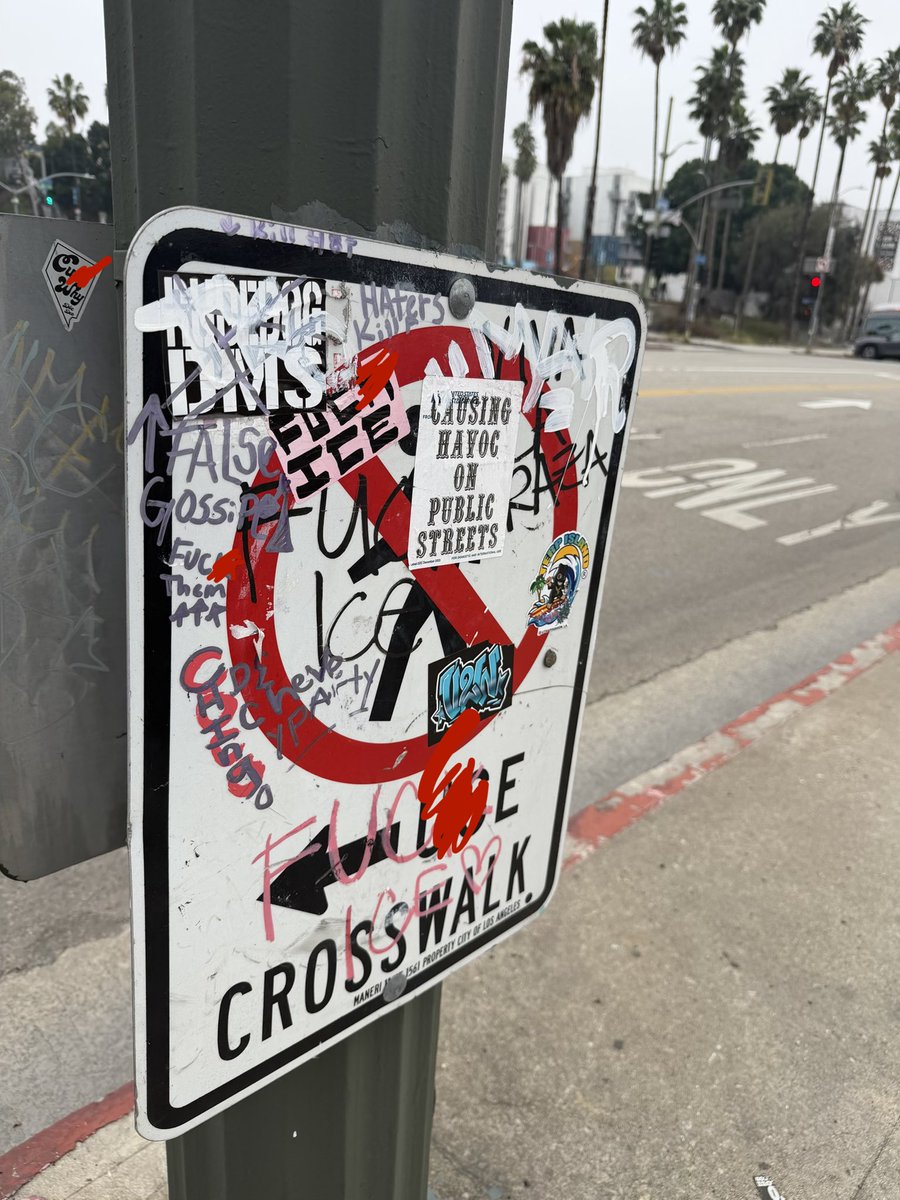 Joe Moeller tweet media