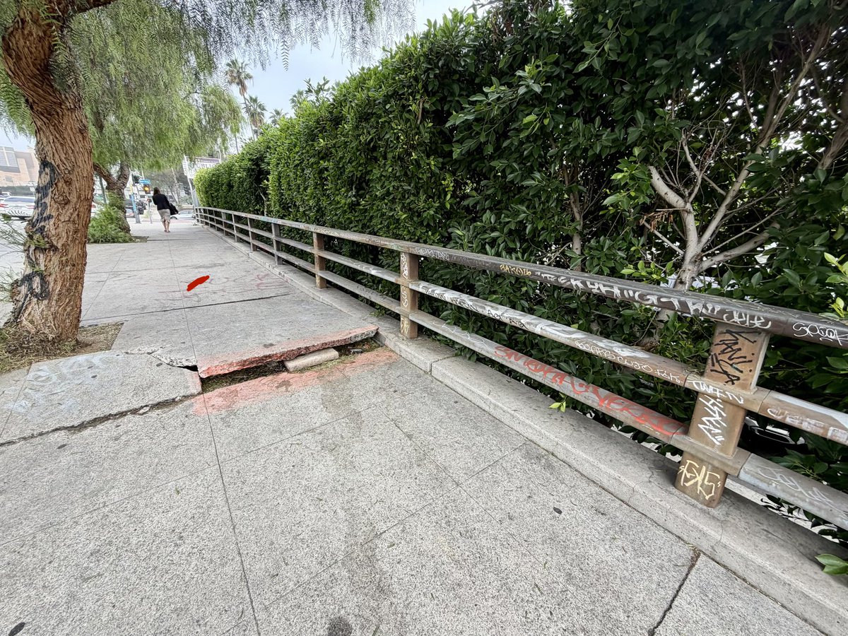 Joe Moeller tweet media