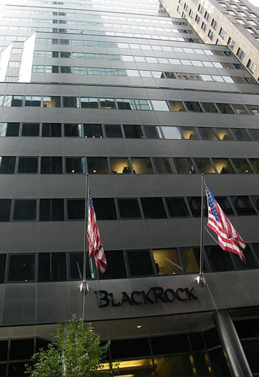 rat 🇨🇳 tweet media