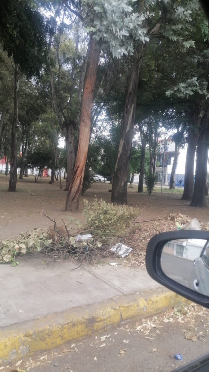 AleHSalcedo tweet media