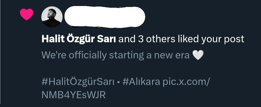 Halit Özgür Sarı updates tweet media