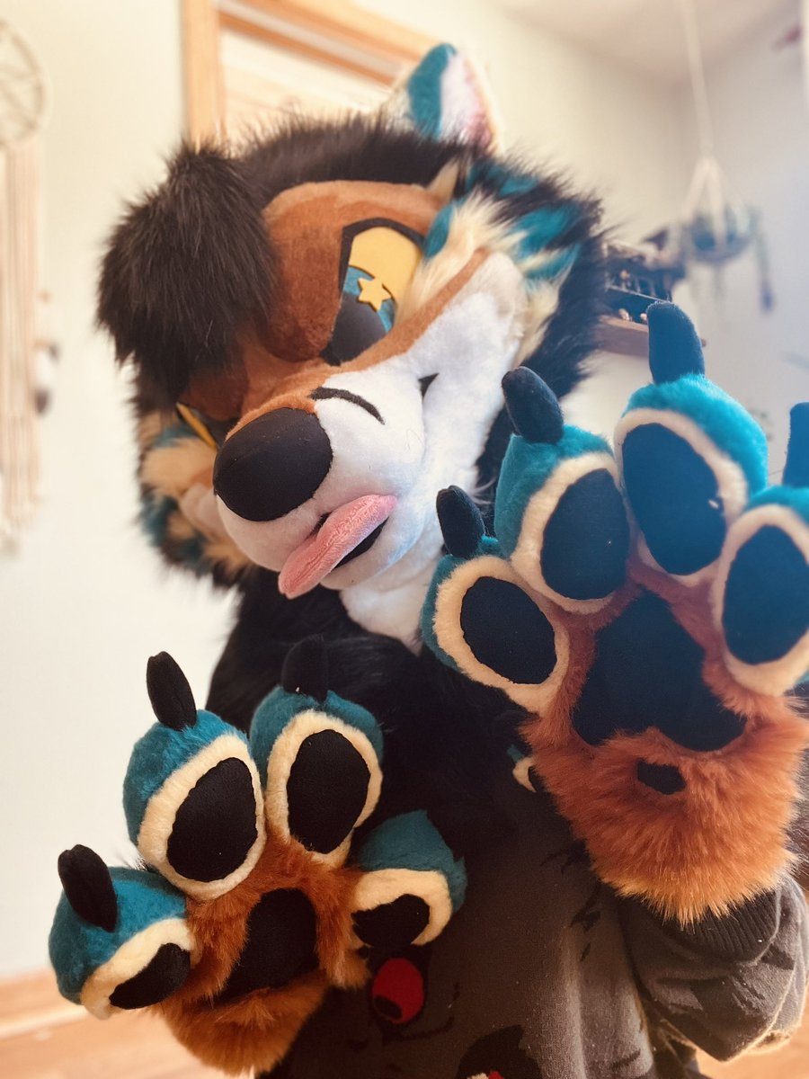 Sunny! 🐋🔜FWA tweet media