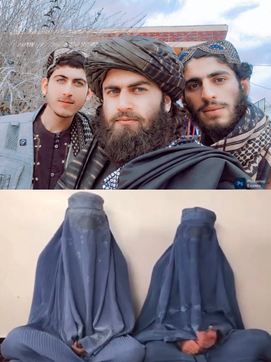 Caт Bee 🪶 tweet media