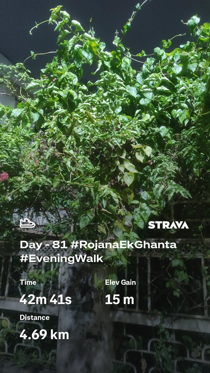 ItismitaCodes03's tweet image. Day - 81 #walk #EveningWalk 🚶
#RojanaEkGhanta ✌️