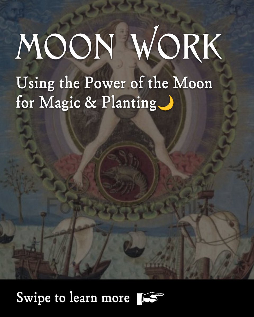 Inner Traditions tweet media