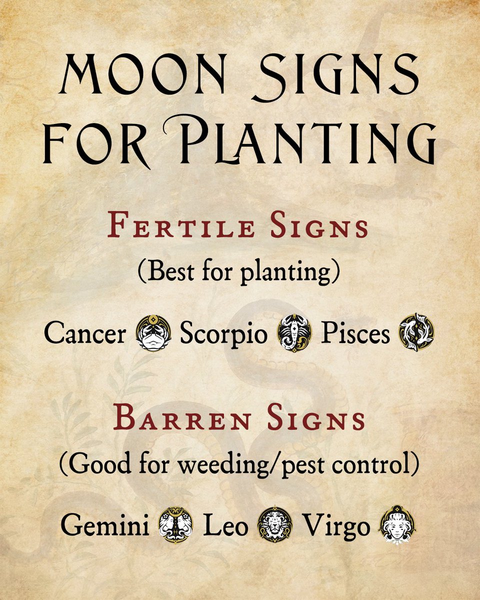 Inner Traditions tweet media