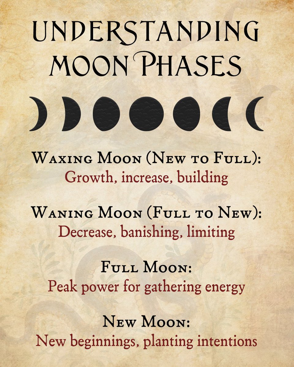 Inner Traditions tweet media