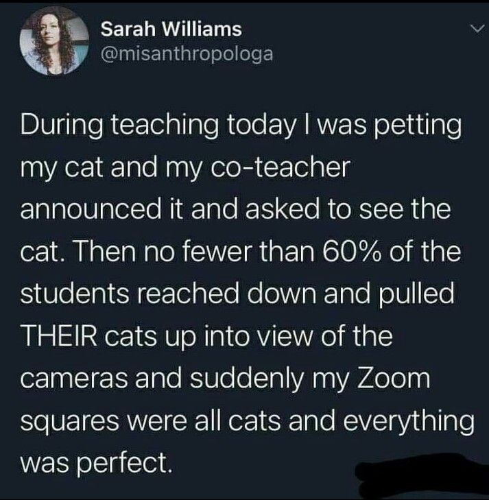 Wolf of X tweet media