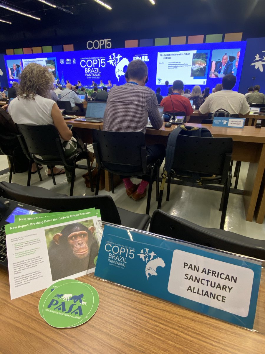 Iris Ho 何燕青 tweet media