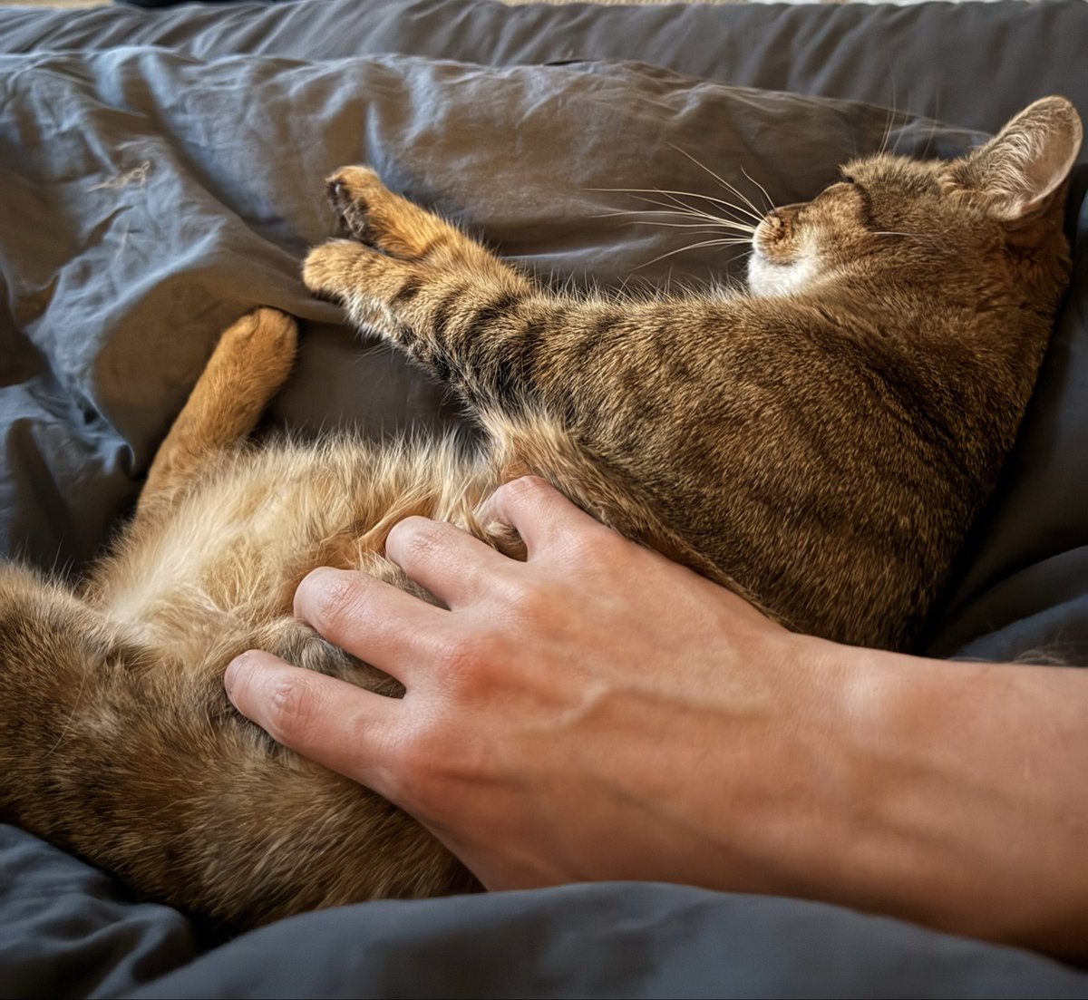 LeMarsey tweet media