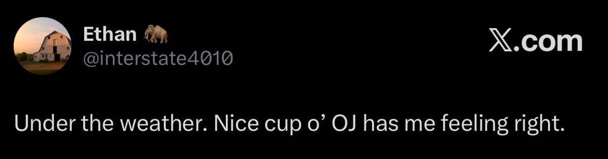 Ethan 🦣 tweet media