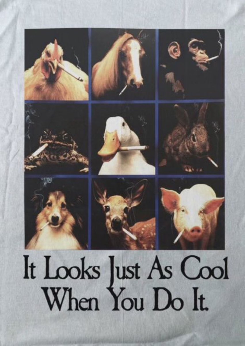 Josh Boehm tweet media