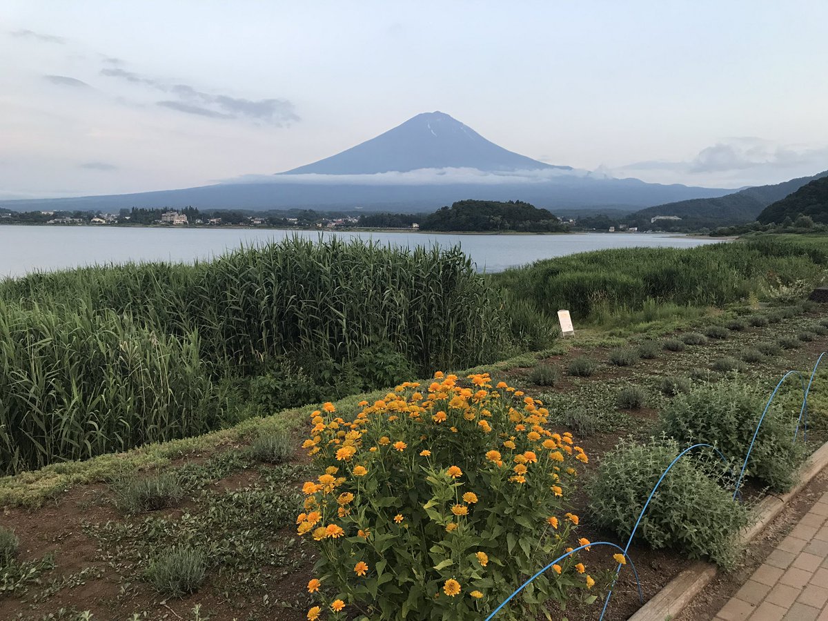 Libertad! 🇧🇷🇮🇹🇪🇸🇬🇧 tweet media