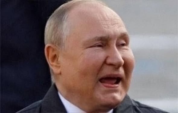 Александр_Россинг tweet media