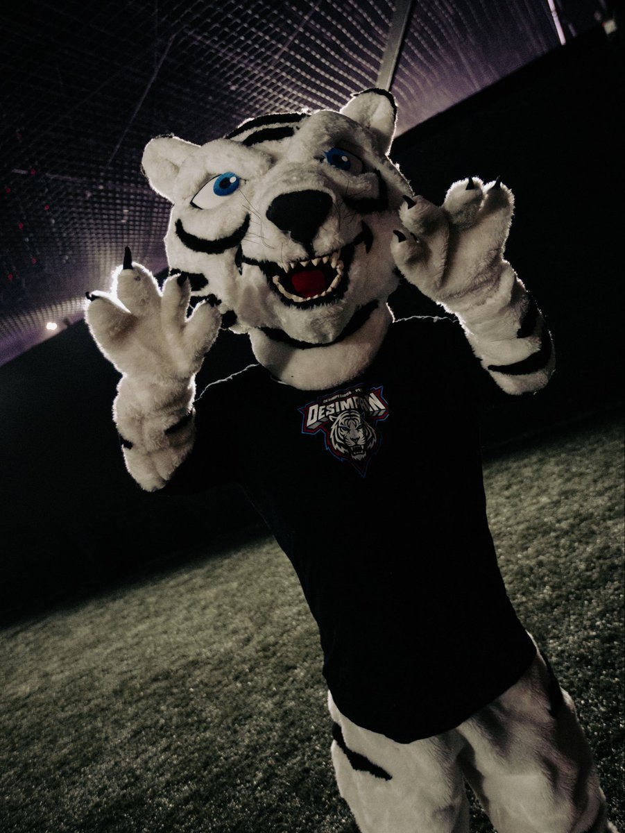 🔥 paiN Caju 🔥 🐯 tweet media