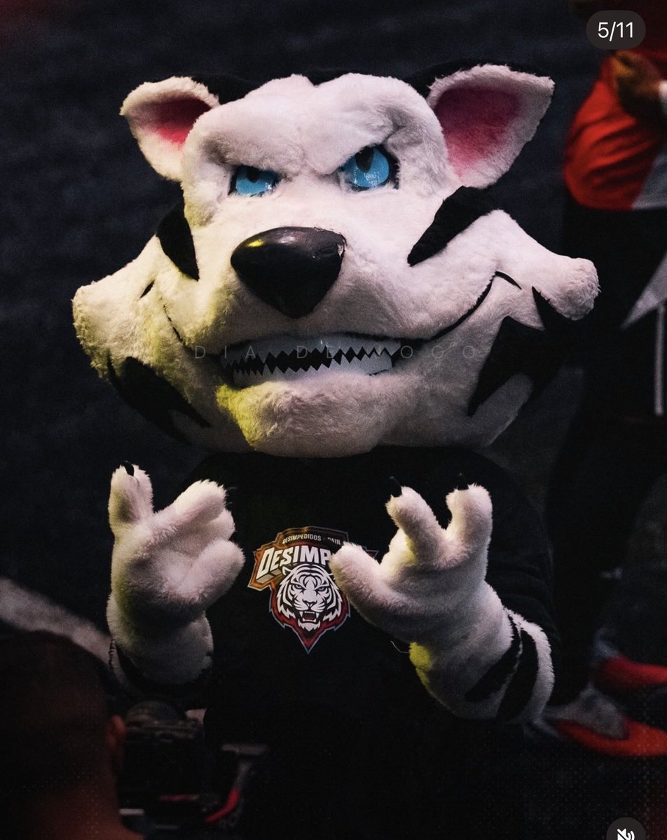 🔥 paiN Caju 🔥 🐯 tweet media