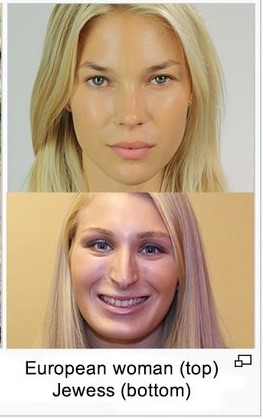 Dennis Weismann tweet media