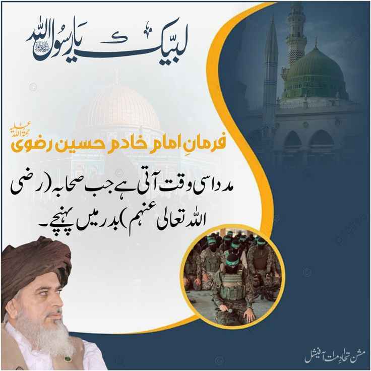 حامد رضا tweet media