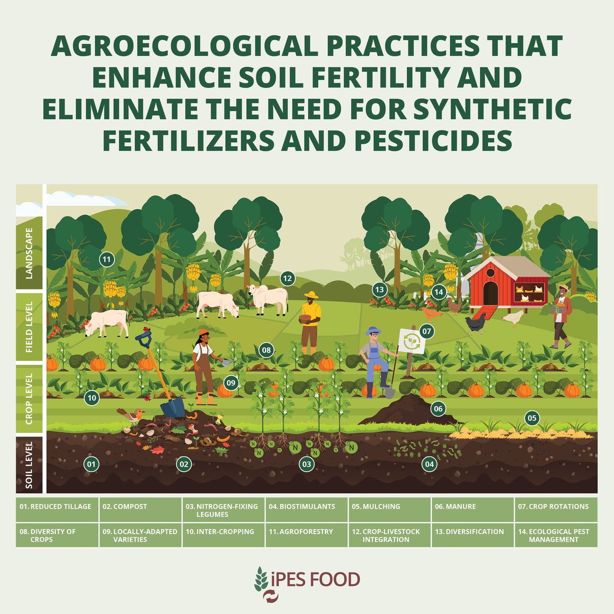 IPES-Food tweet media