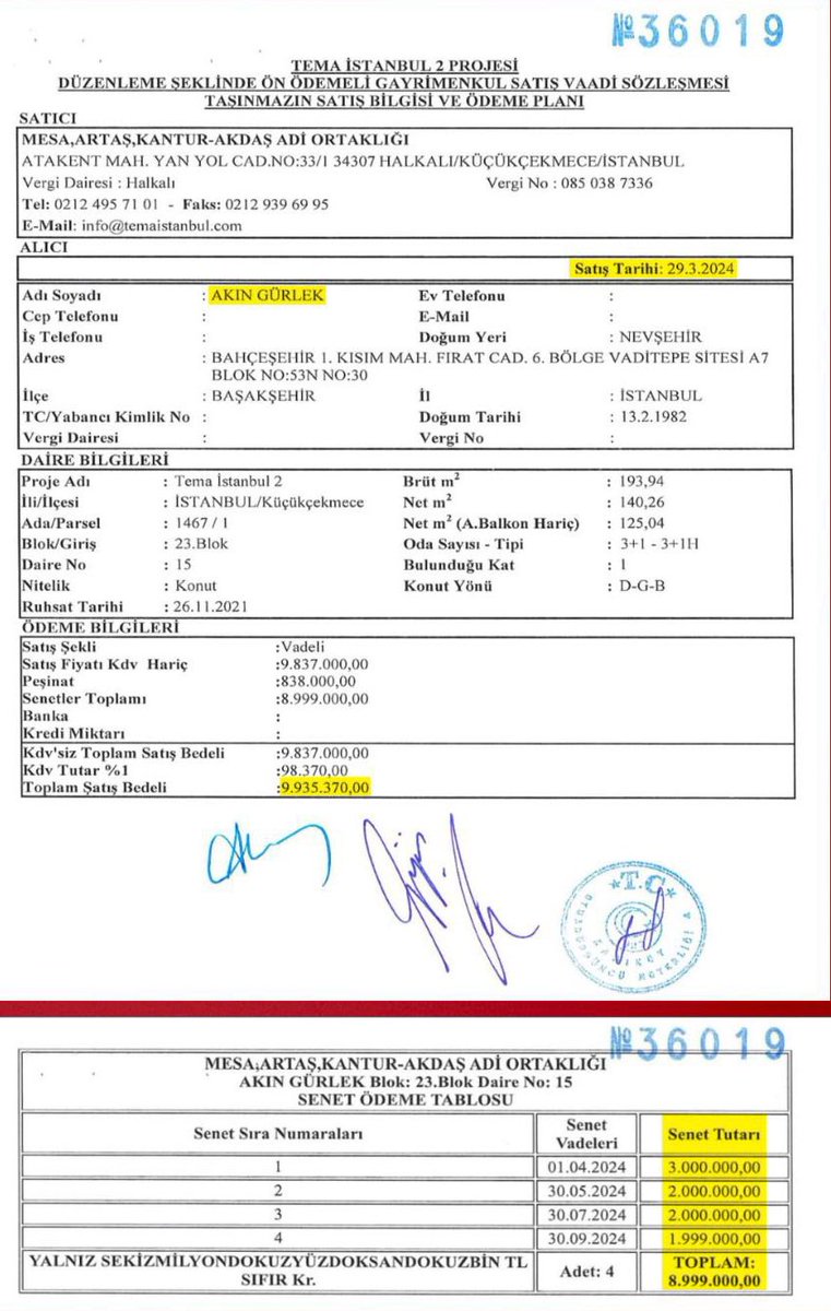 SaidSefa tweet media